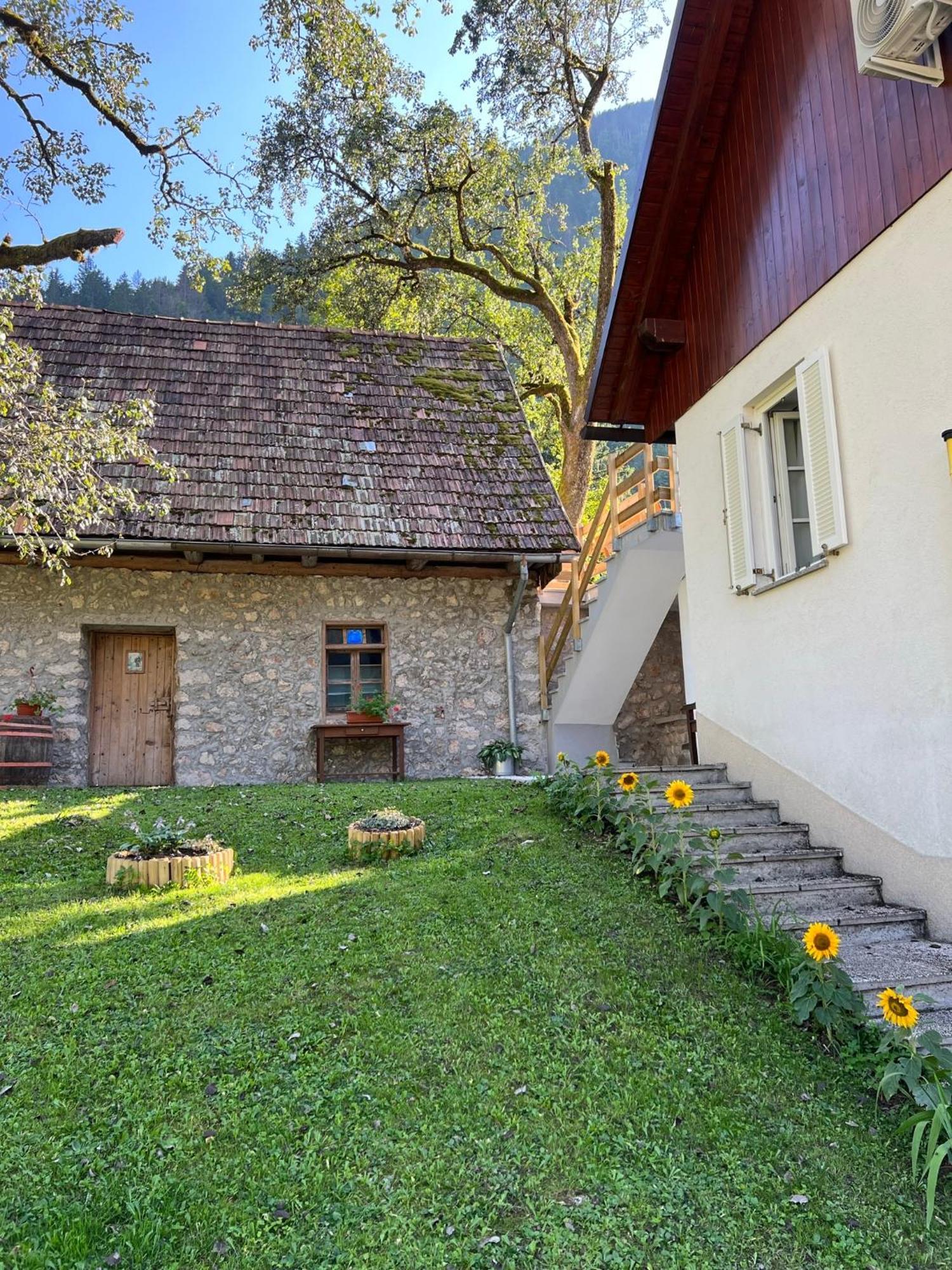 Apartments Mala Korita Soce Soca Exterior photo