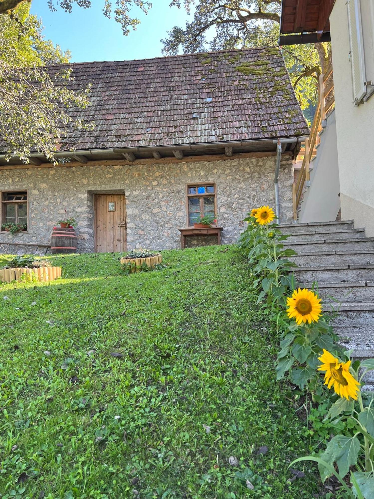 Apartments Mala Korita Soce Soca Exterior photo
